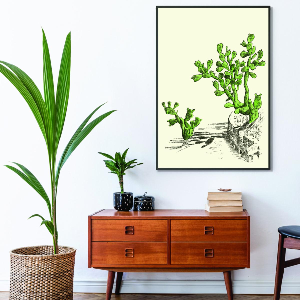 Green Prickly Pear Cactus A2 420 X 594Mm Stanley Print House – image 3