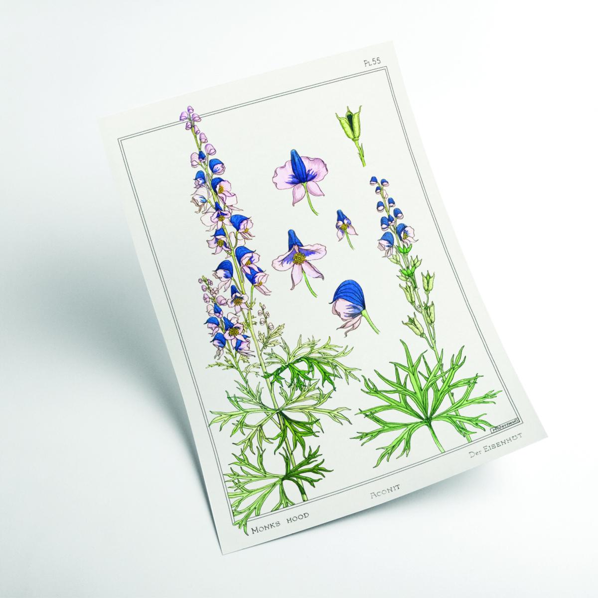 Vintage Botanicals - Aconite Green Medium Stanley Print House – image 2