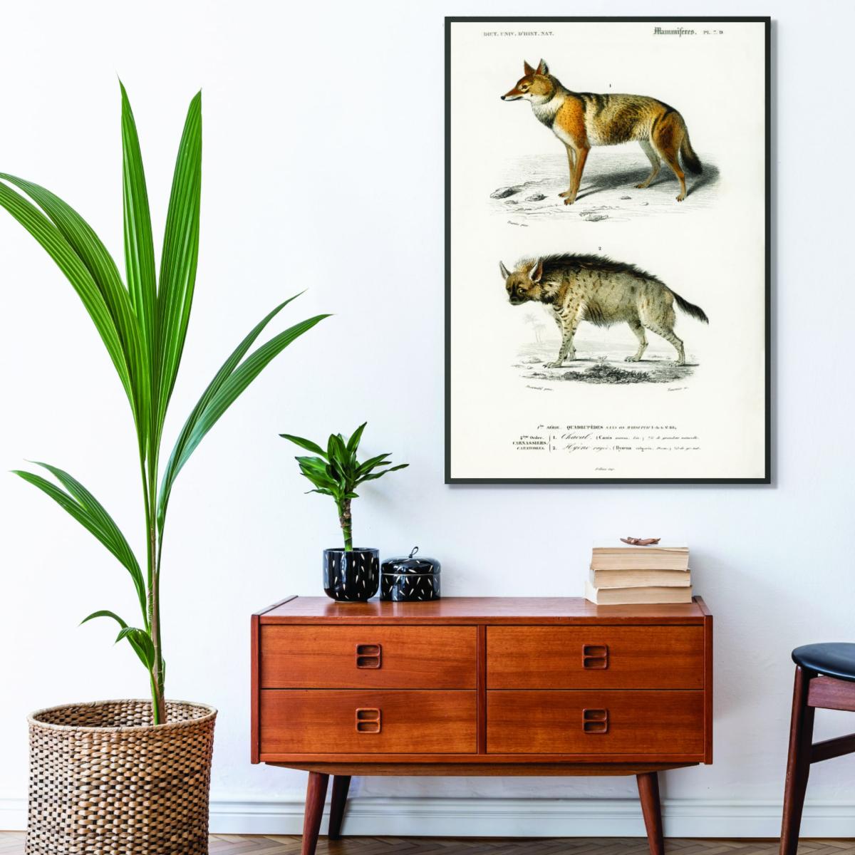 Golden Jackal And Striped Hyena Print Large Stanley Print House – image 3