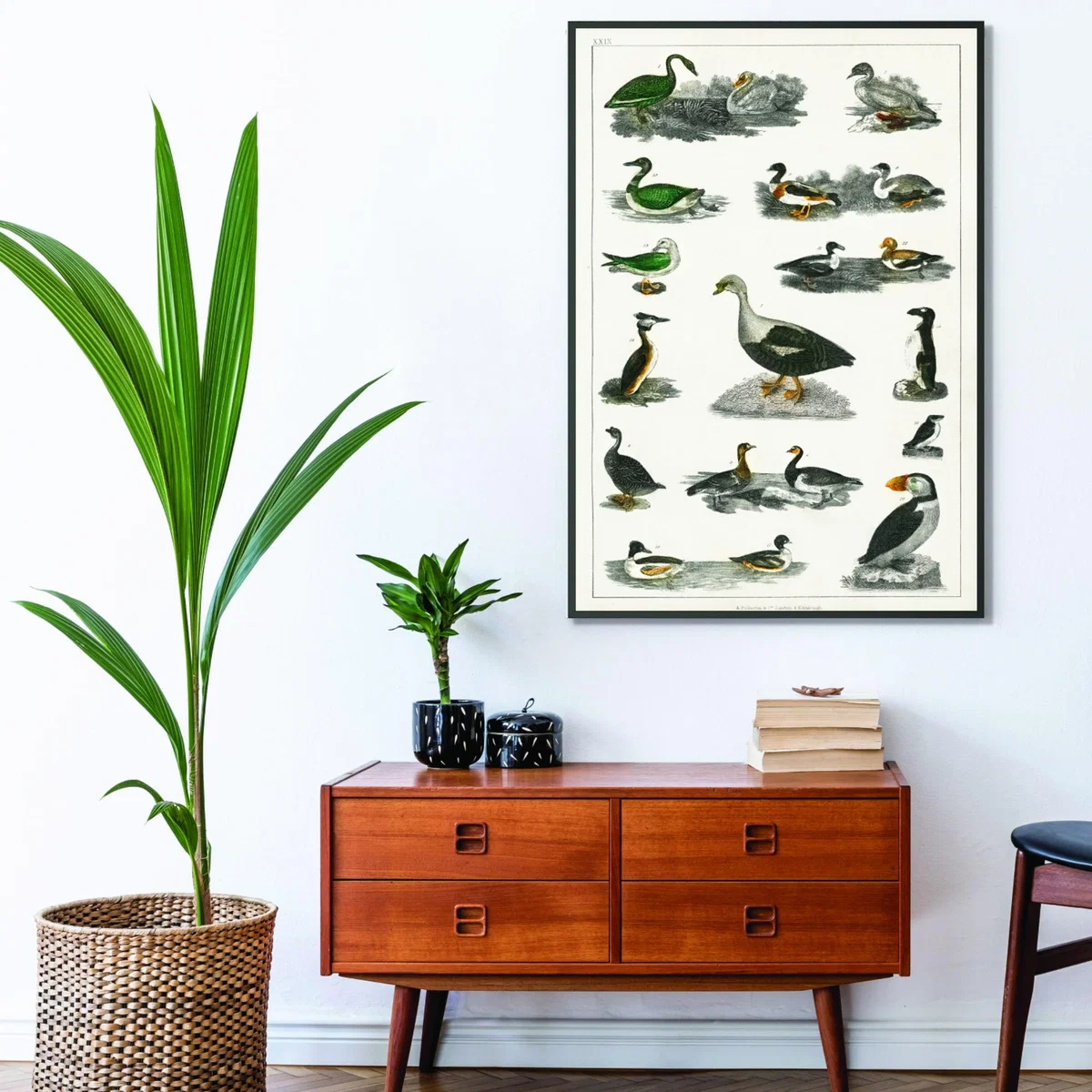 Grey Collection Of Birds I Print Extra Large Stanley Print House – image 3