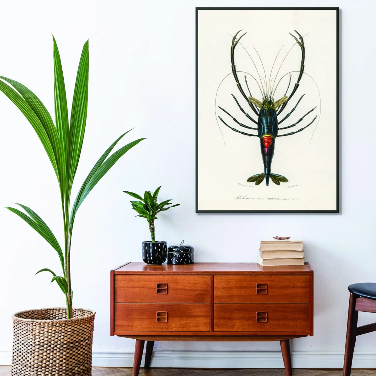 Blue Crimson Crawfish Xxs Stanley Print House – image 3