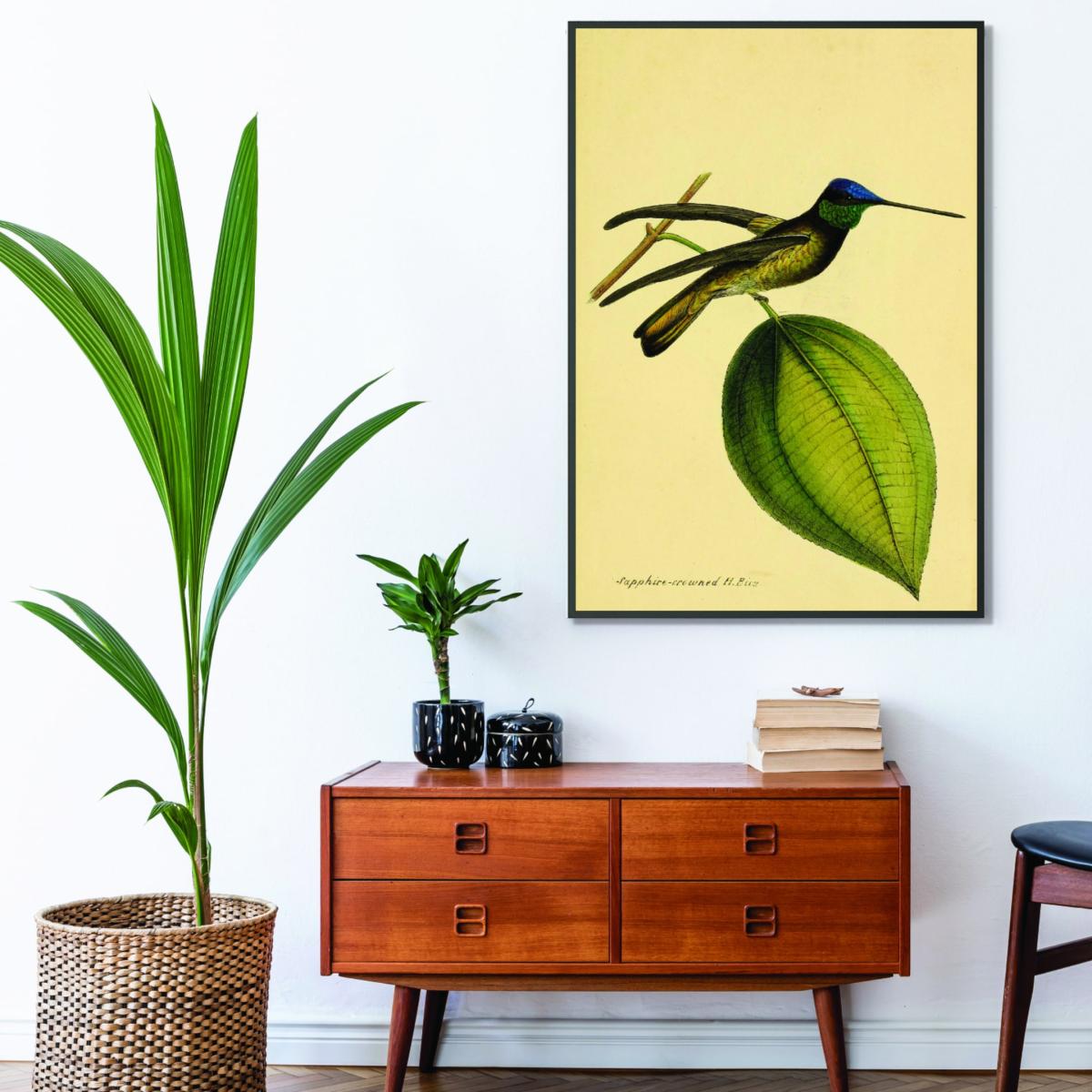 Green Crowned Humming Bird A3 297 X 420Mm Stanley Print House – image 3