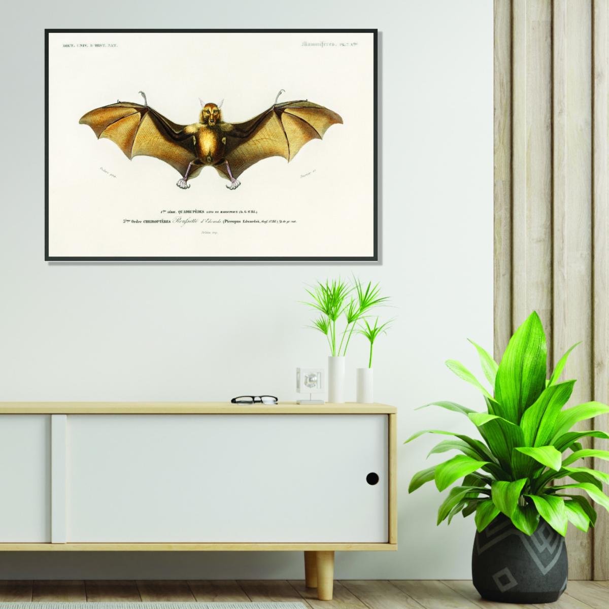 Gold Bat A1 594 X 841Mm Stanley Print House – image 3