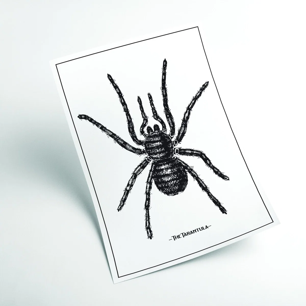 Black The Tarantula Large Stanley Print House – image 2