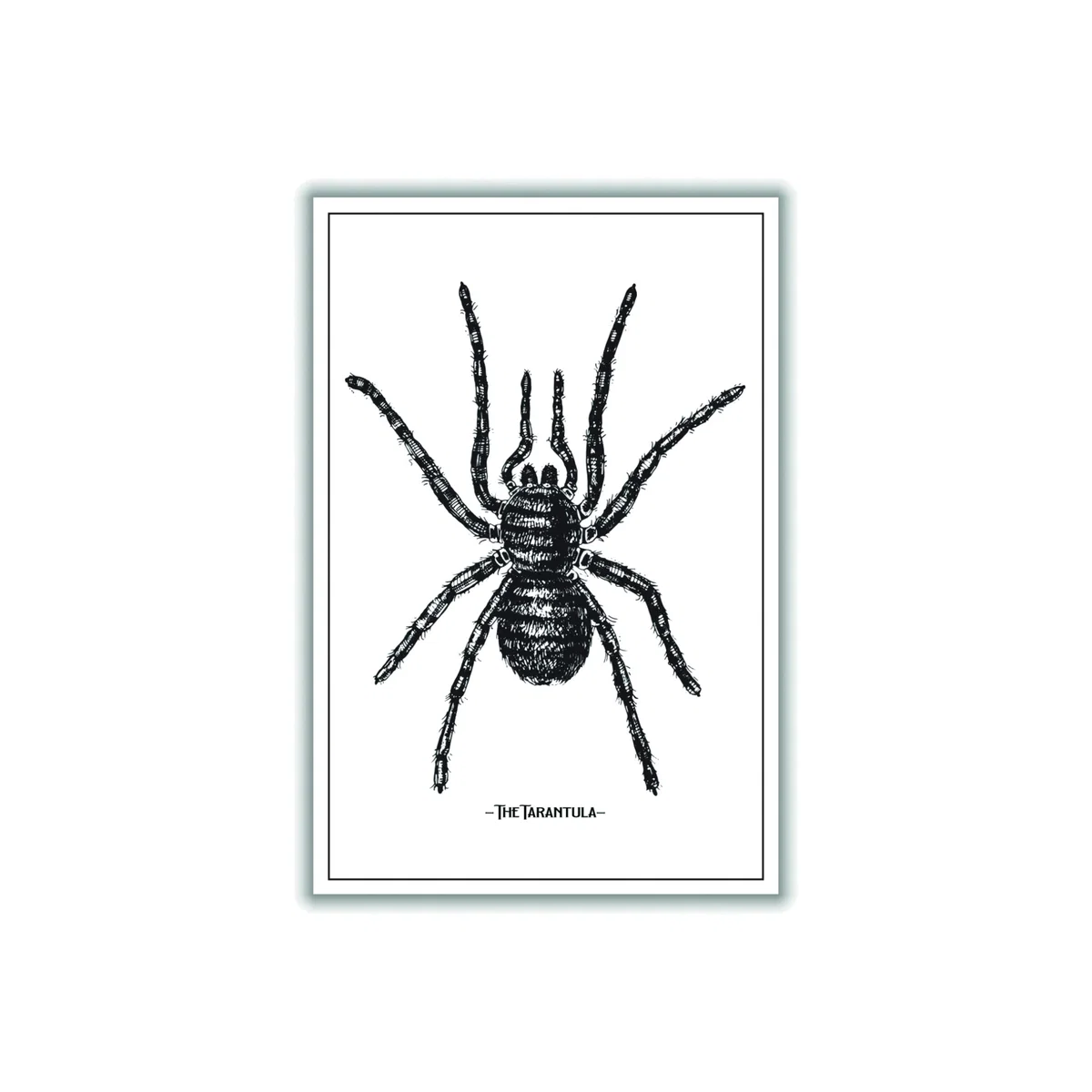 Black The Tarantula Large Stanley Print House – image 1