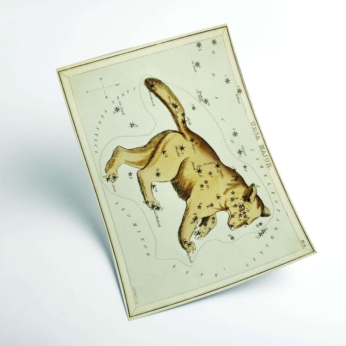Gold Astronomical Chart Illustration Of The Ursa Major Medium Stanley Print House – image 2