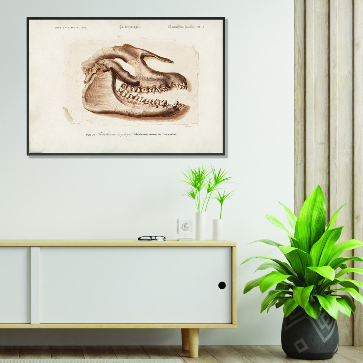 Neutrals Odd-Toed Ungulate A3 297 X 420Mm Stanley Print House – image 3