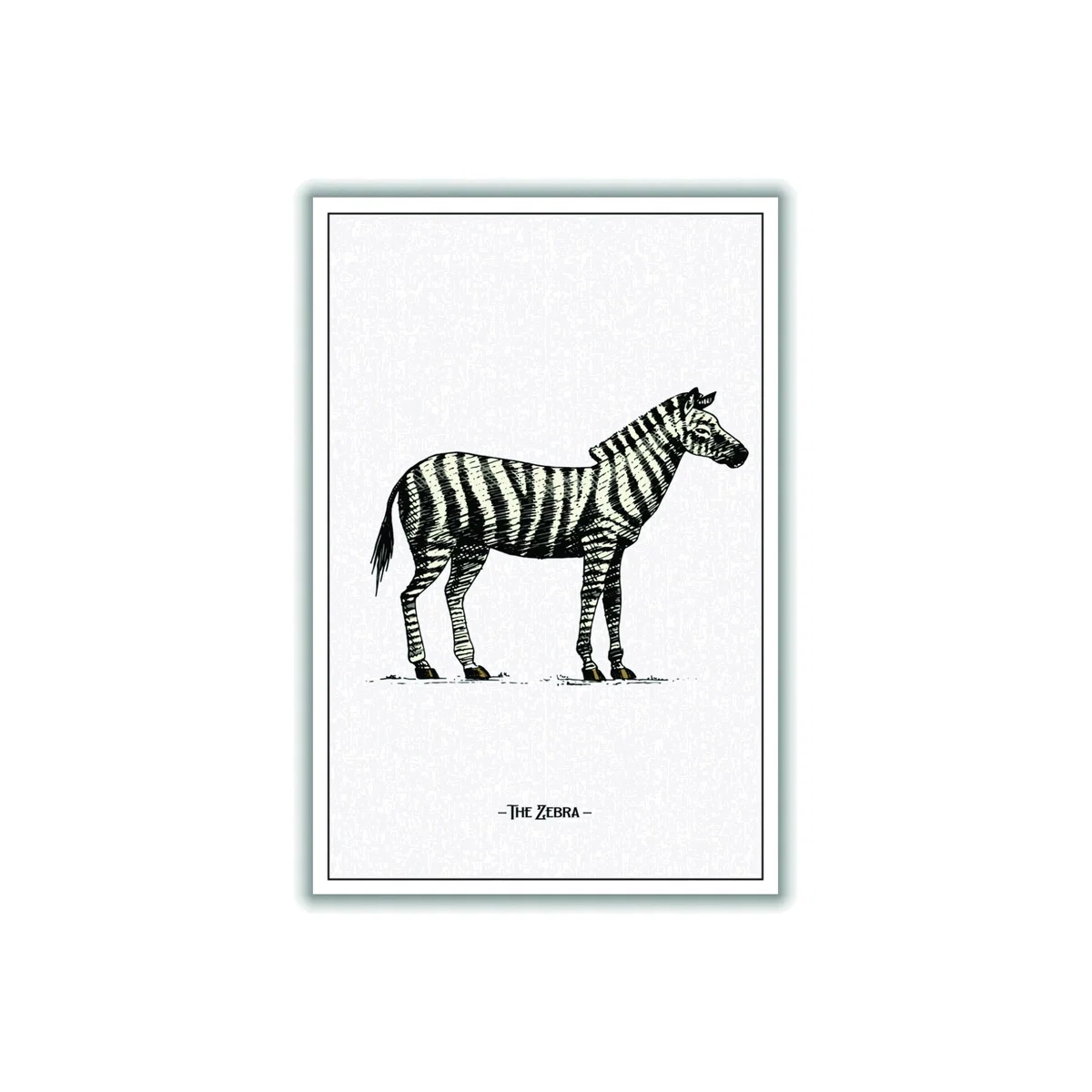 Black The Zebra A3 297 X 420Mm Stanley Print House – image 1
