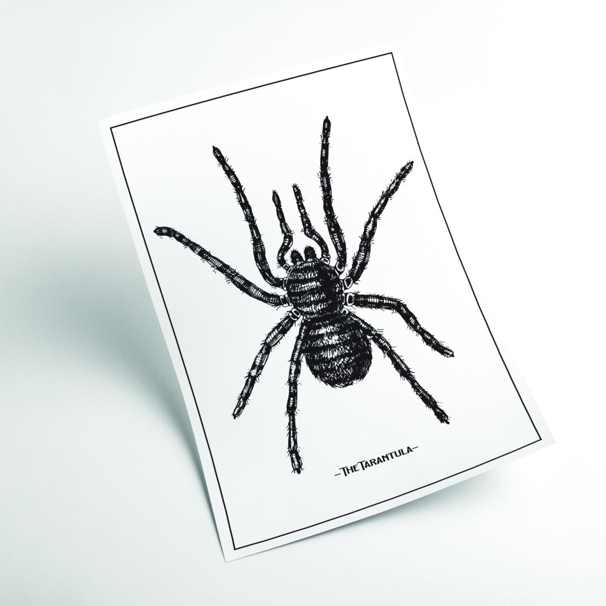 Black The Tarantula Xxs Stanley Print House – image 2
