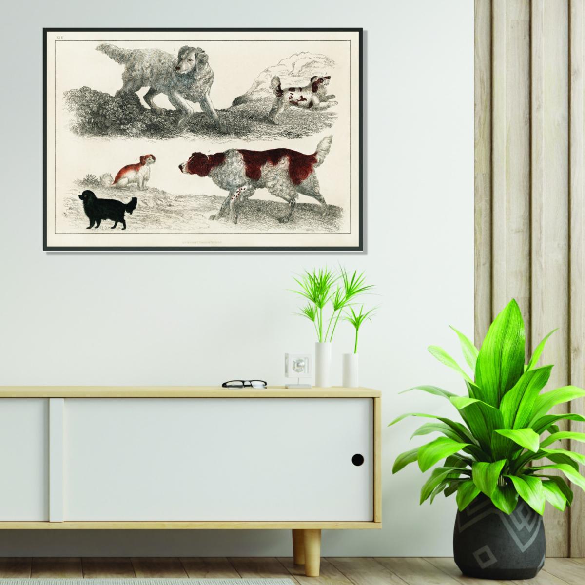Types Of Dog Large Stanley Print House – image 3