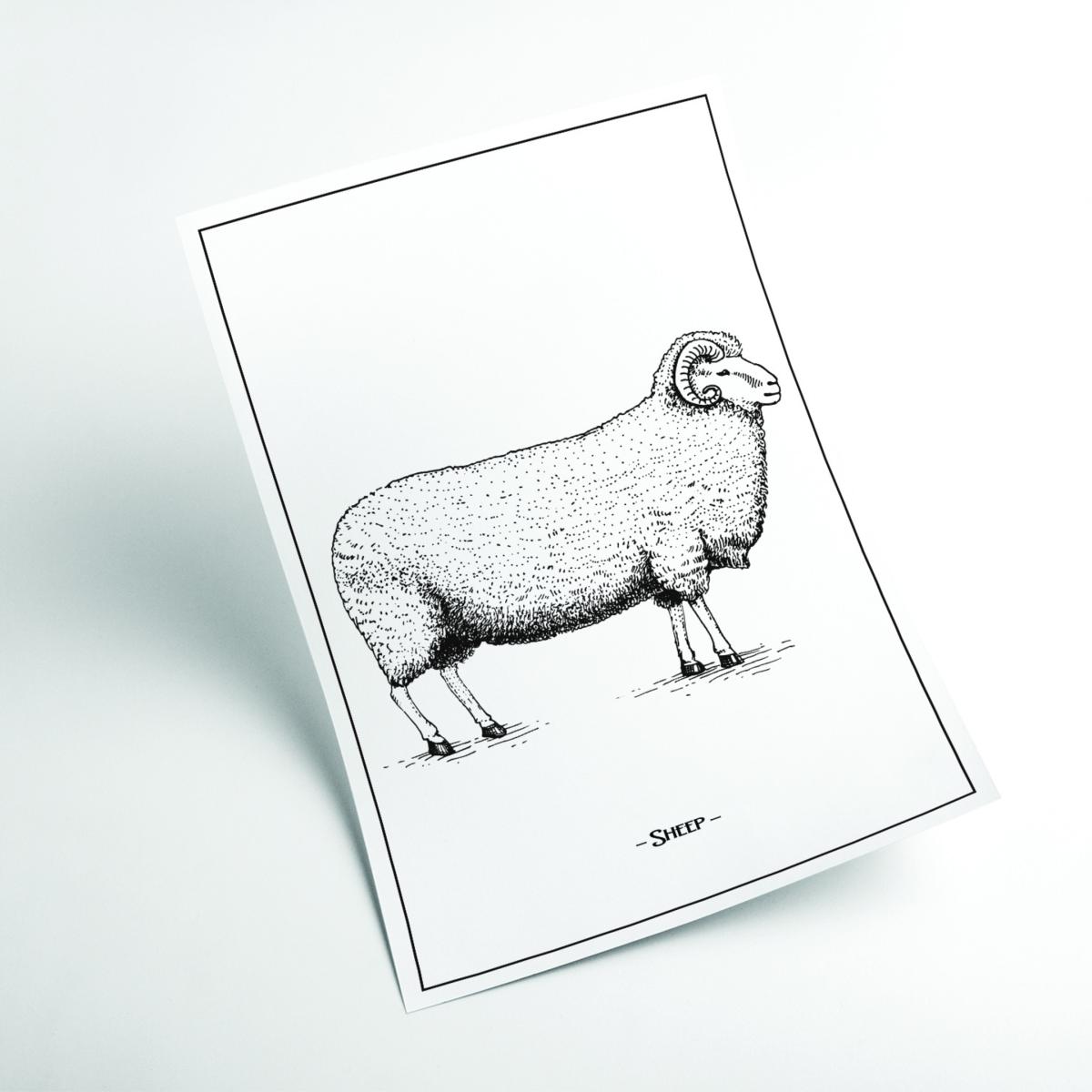 Grey Sheep Small Stanley Print House – image 2