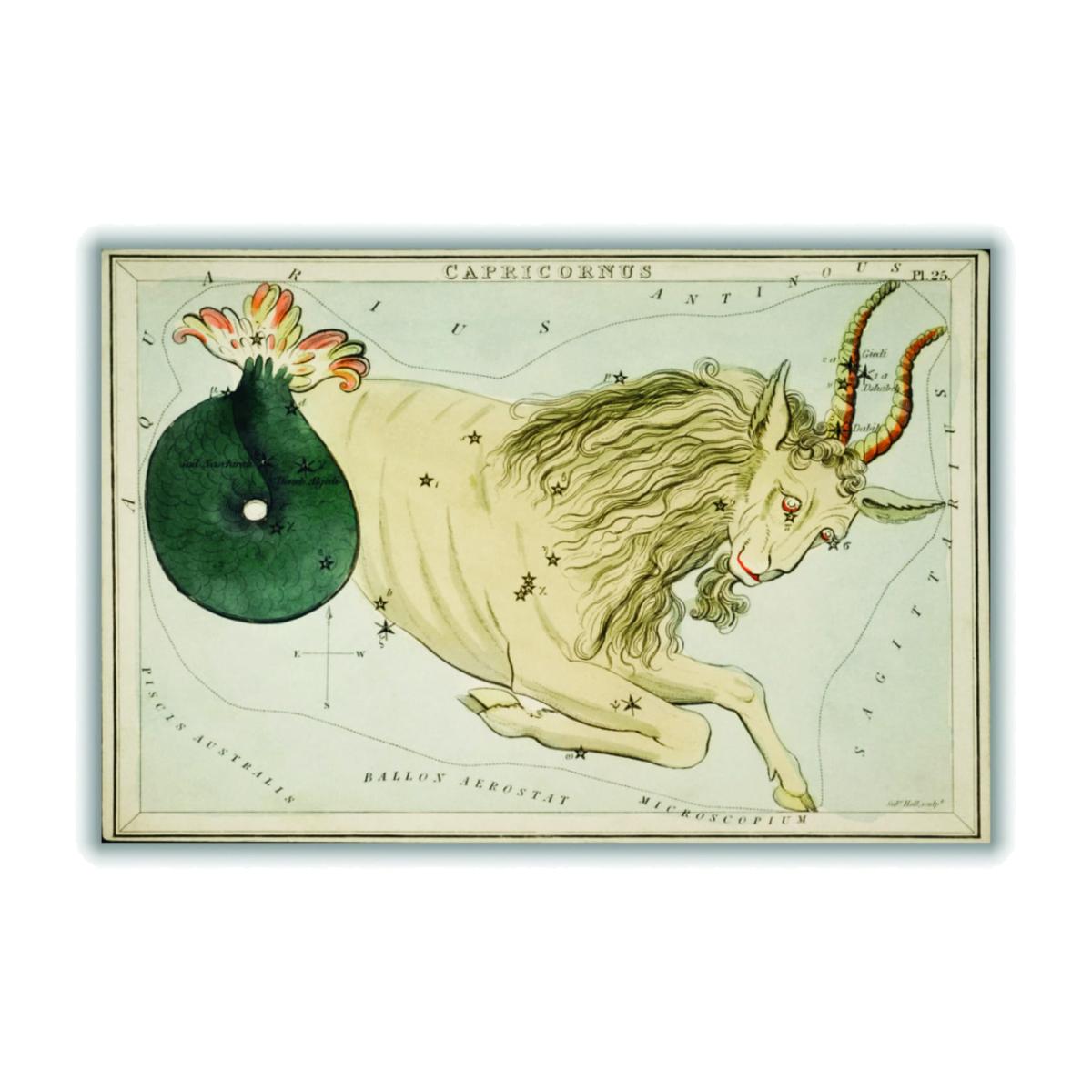 Gold Astronomical Chart Illustration Of The Zodiac Capricornus A3 297 X 420Mm Stanley Print House – image 1