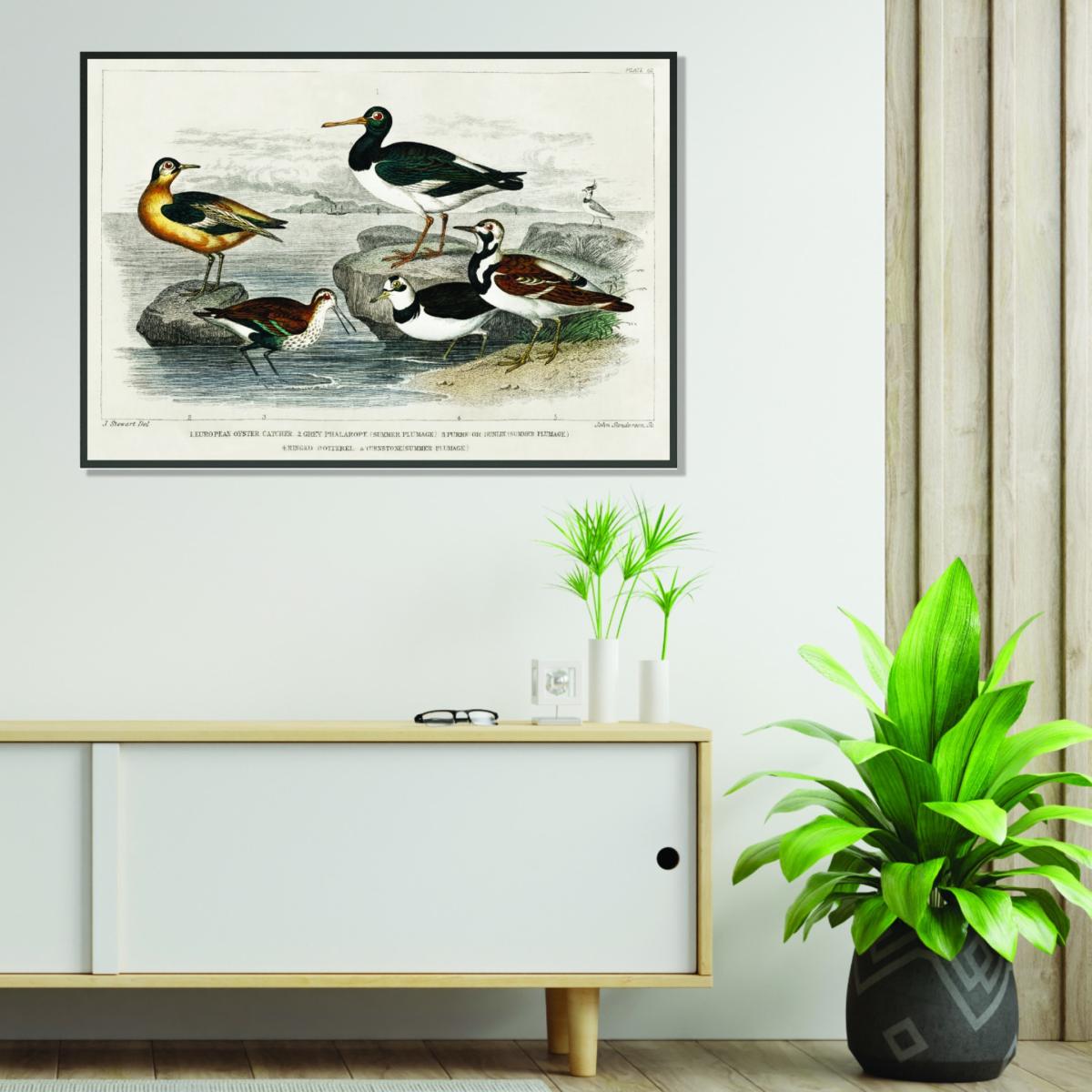 Various Types Of Birds Large Stanley Print House – image 3