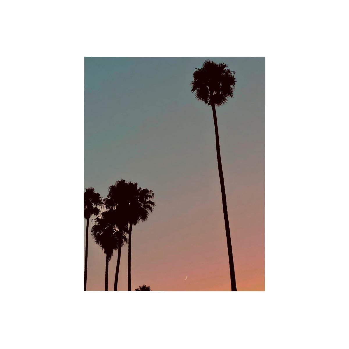 Blue / Pink / Purple Calming Moonrise Palms Sleep Demon – image 1