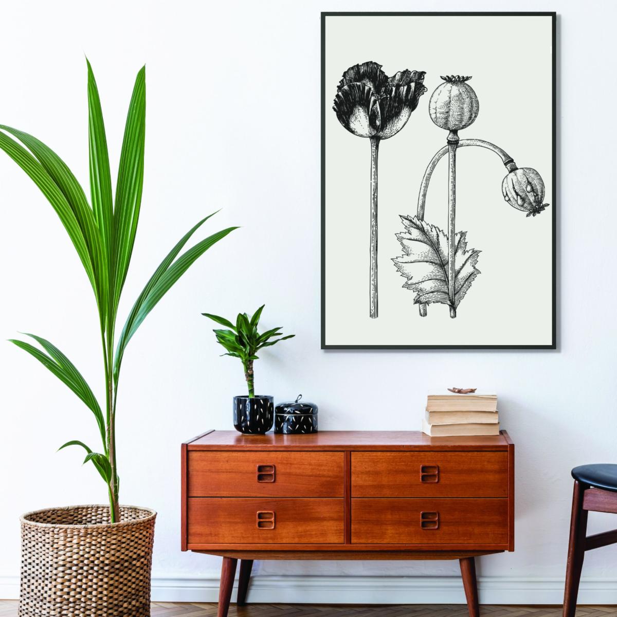Neutrals Vintage Poppy Plant A3 297 X 420Mm Stanley Print House – image 3