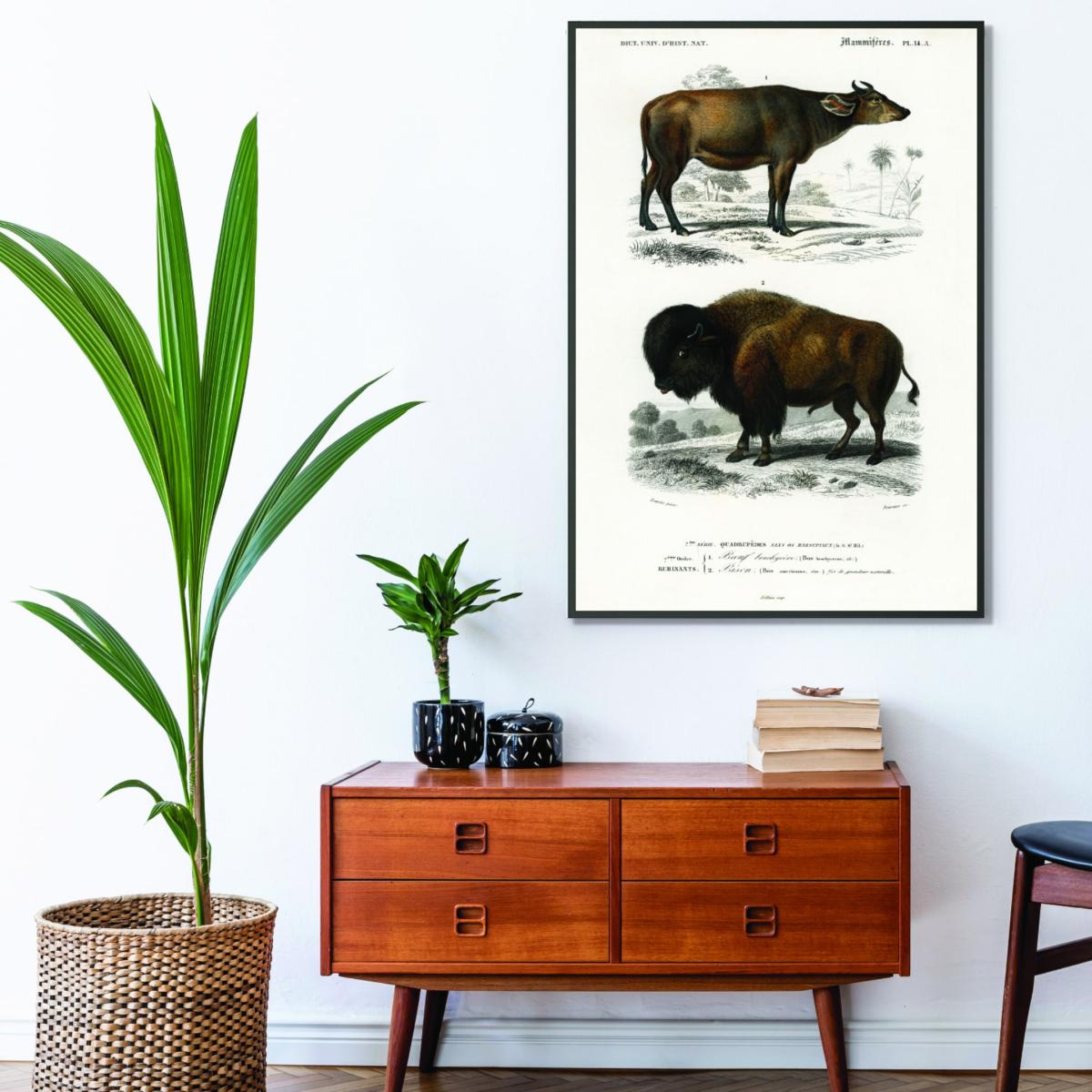 Cow - Brown A3 297 X 420Mm Stanley Print House – image 3