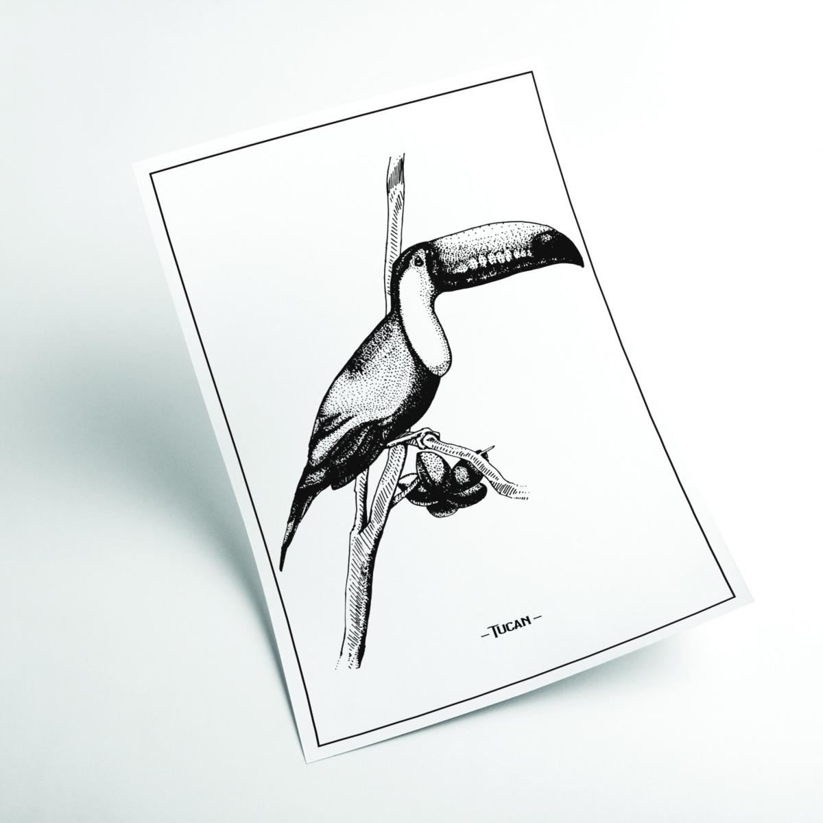 Black Tucan A2 420 X 594Mm Stanley Print House – image 2