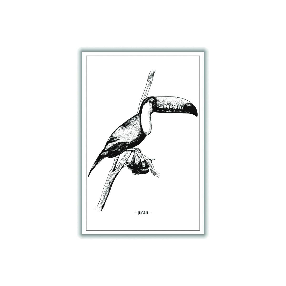 Black Tucan A2 420 X 594Mm Stanley Print House – image 1