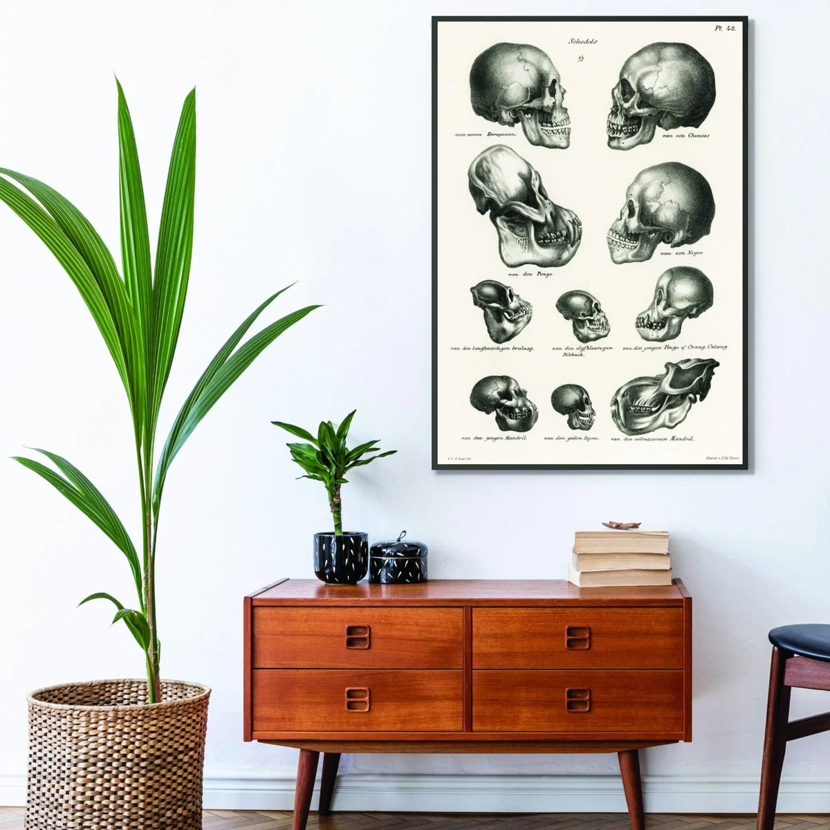 Neutrals Skulls A1 594 X 841Mm Stanley Print House – image 3