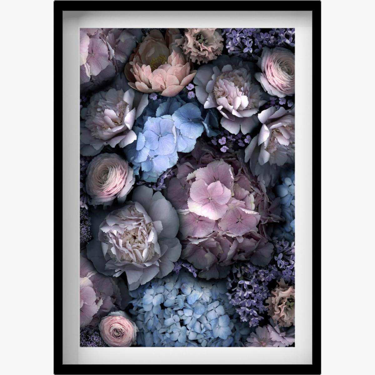 Black / Blue Dreamy Peony Hydrangea Print A3 297 X 420Mm Francesca Wild – image 1