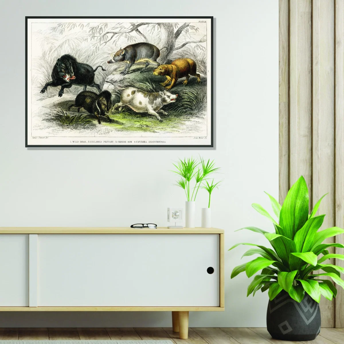 Grey Types Of Boar Extra Large Stanley Print House – image 3