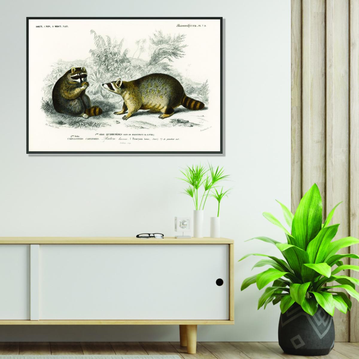 Grey Raccoon Small Stanley Print House – image 3