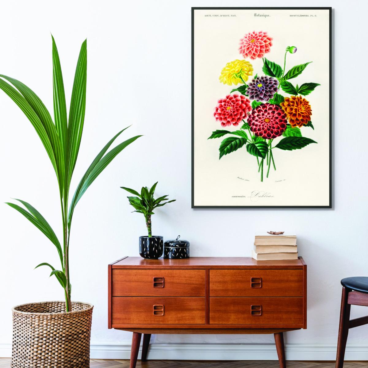 Dahlia A2 420 X 594Mm Stanley Print House – image 3