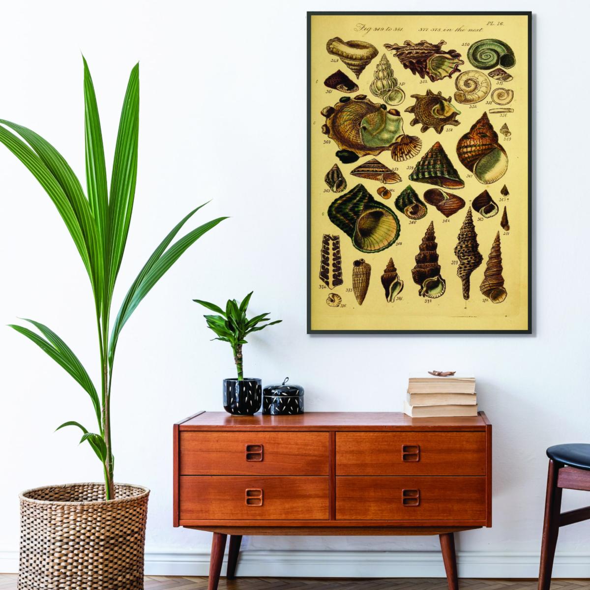 Gold Vintage Shells Xxs Stanley Print House – image 3