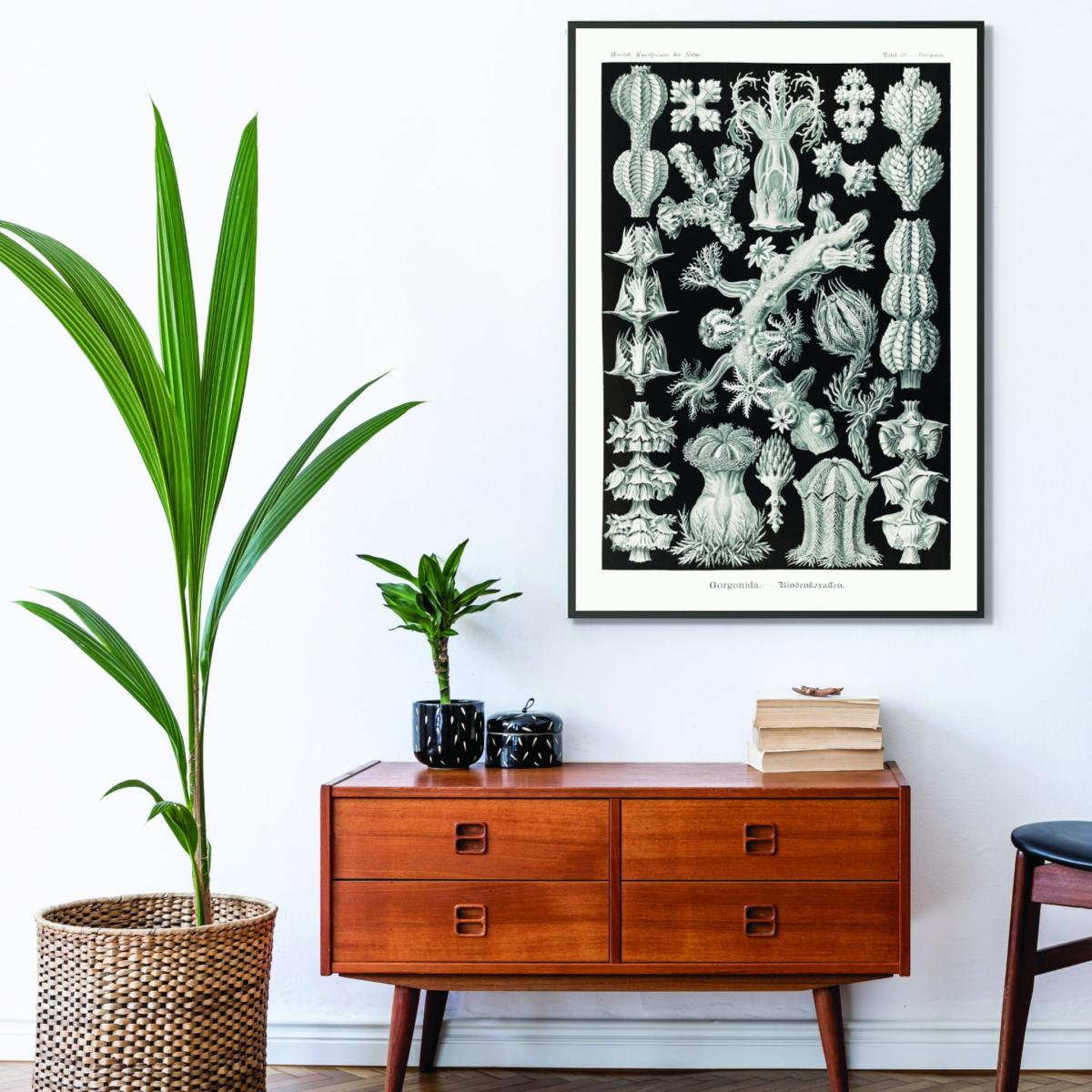Grey Gorgonida-Rindenkorallen By Ernst Haeckel Extra Large Stanley Print House – image 3