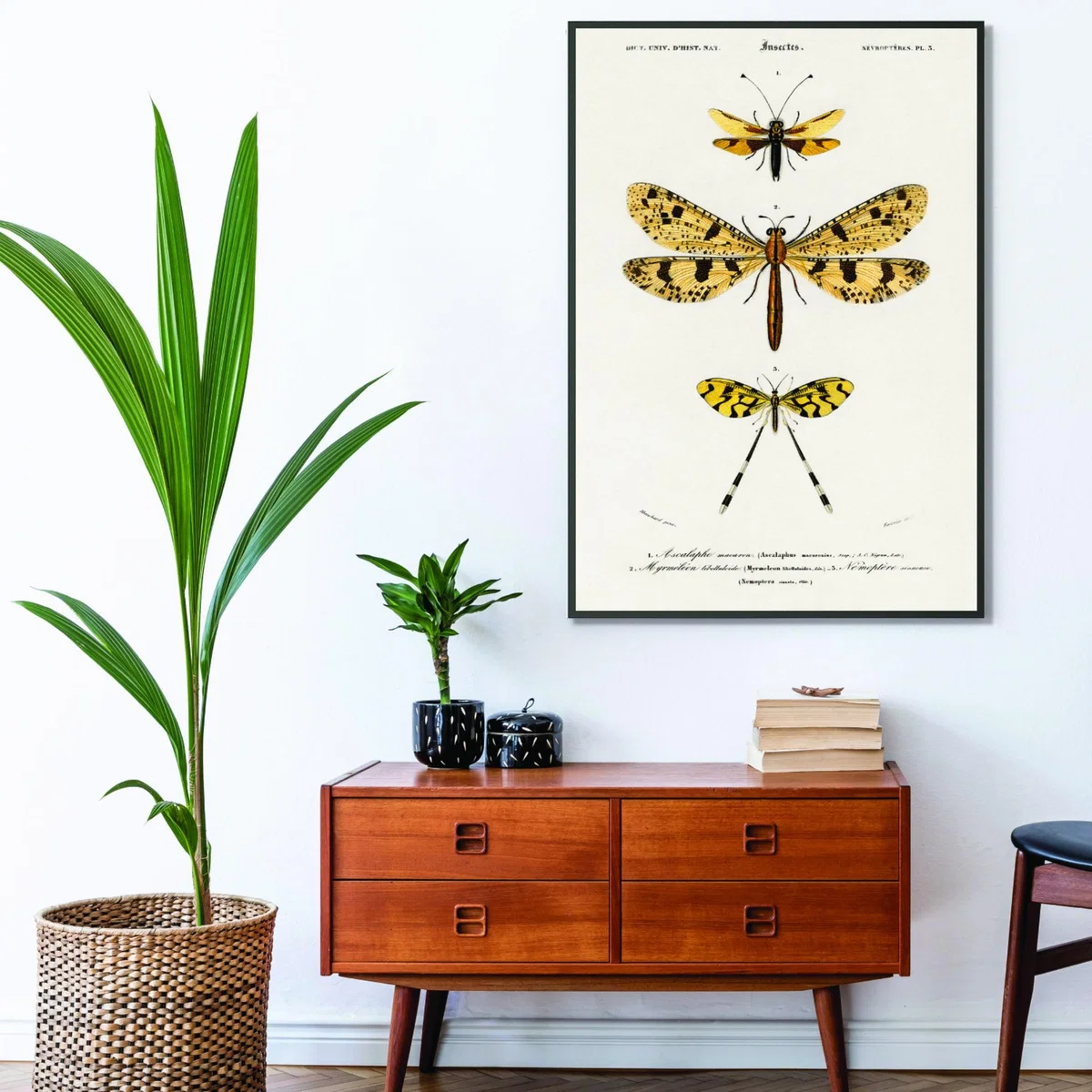 Yellow / Orange Collection Of Insects Ii Print Xxs Stanley Print House – image 3