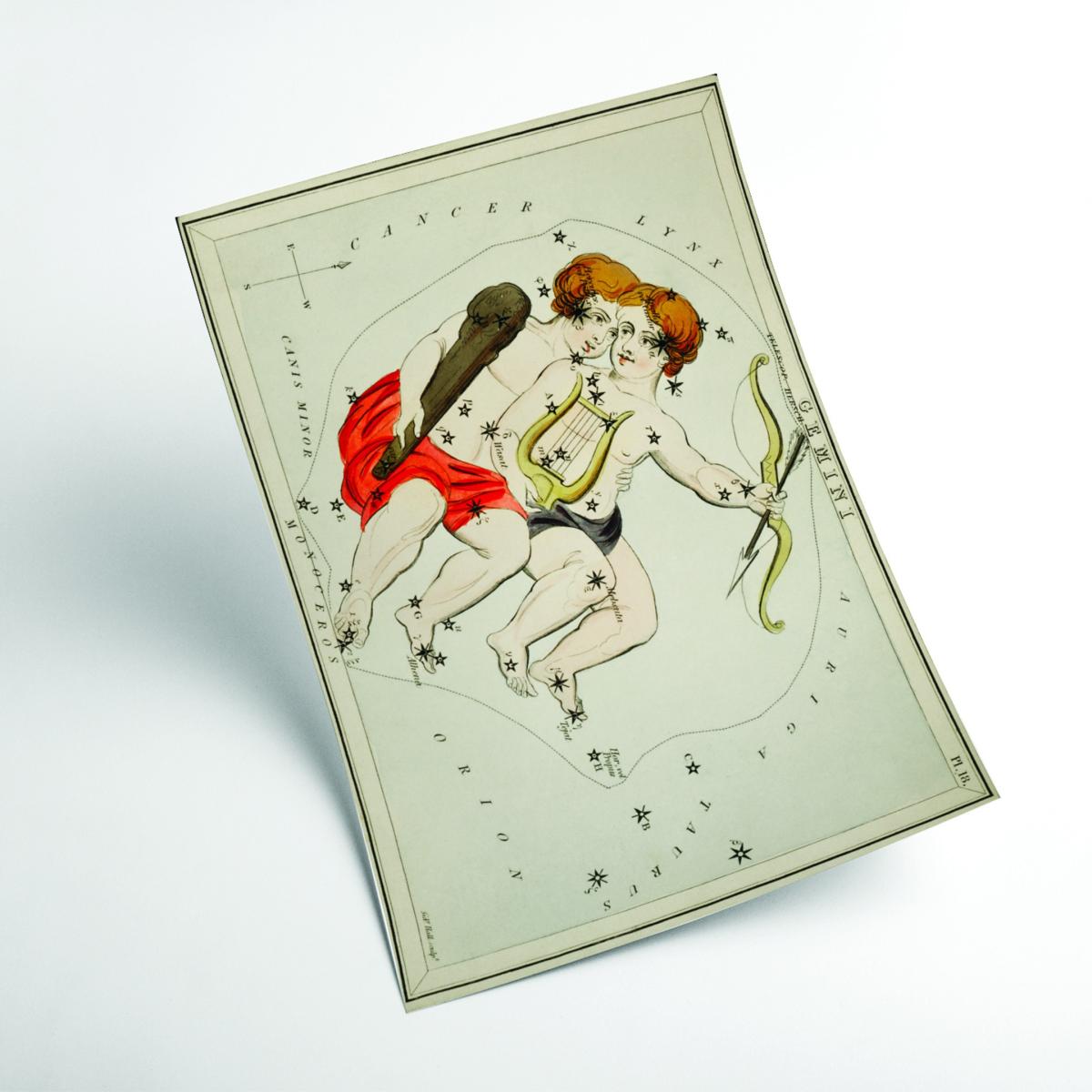 Astronomical Chart Illustration Of The Zodiac Gemini Extra Small Stanley Print House – image 2