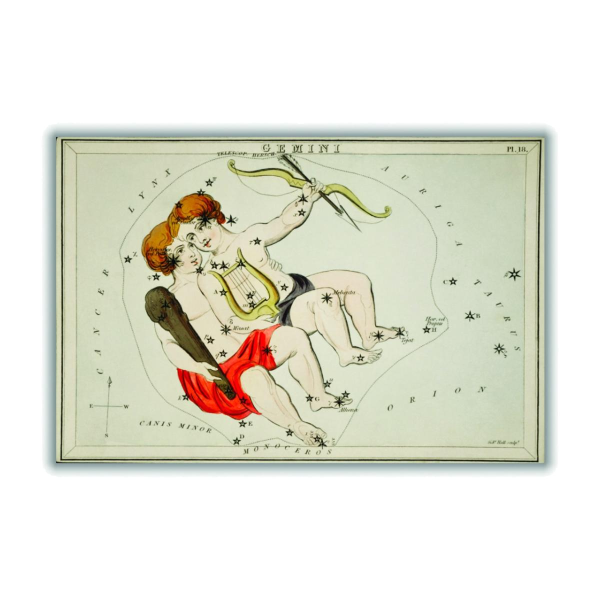 Astronomical Chart Illustration Of The Zodiac Gemini Extra Small Stanley Print House – image 1