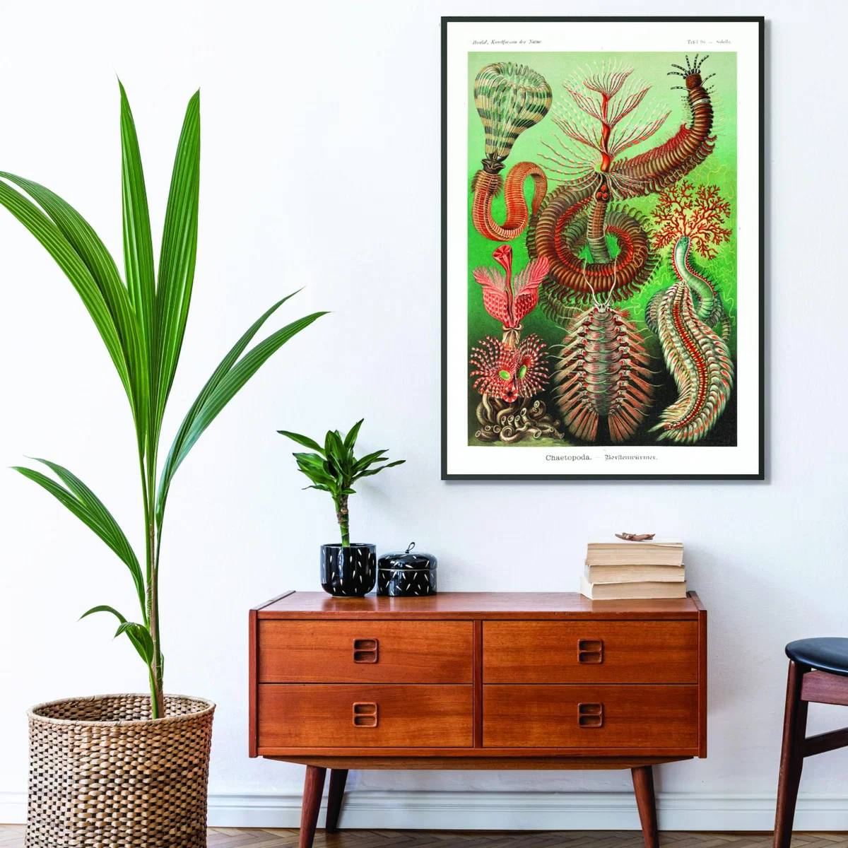 Green Chaetopoda-Borstenwürmer By Ernst Haeckel A1 594 X 841Mm Stanley Print House – image 3