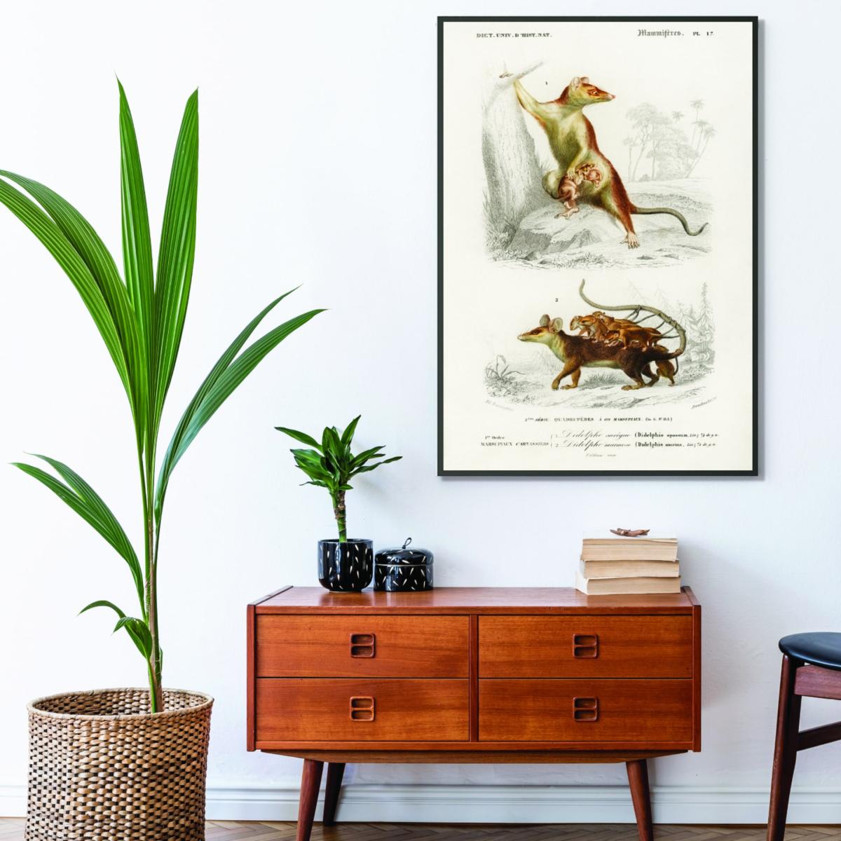 Brown Natural History - Opossum Extra Large Stanley Print House – image 3
