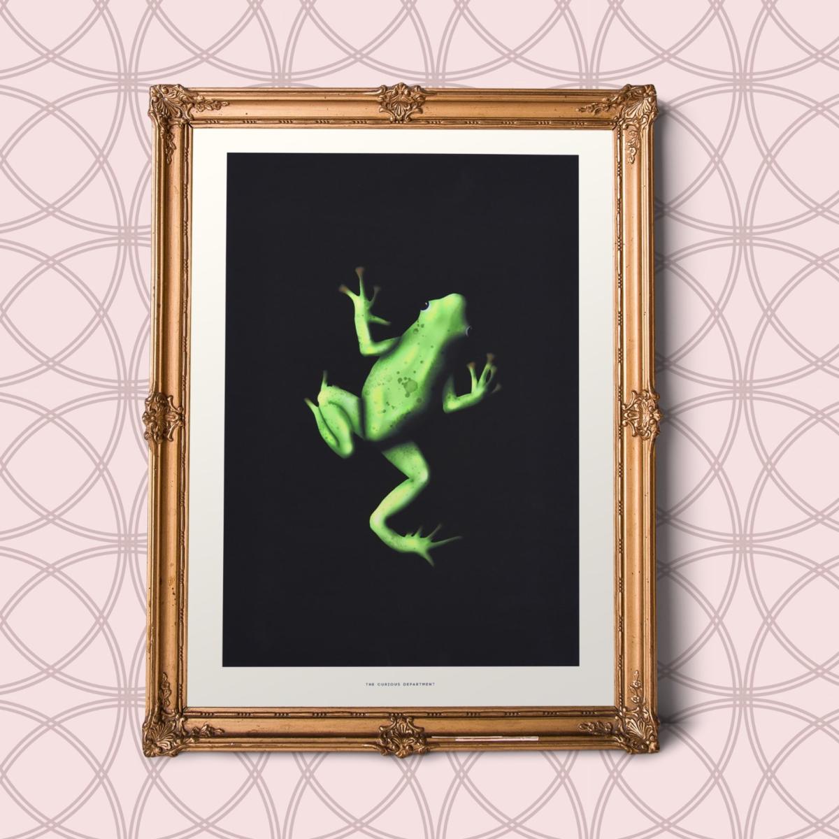 Black / Green Tiana's Frog: Art Print The Curious Department – image 2
