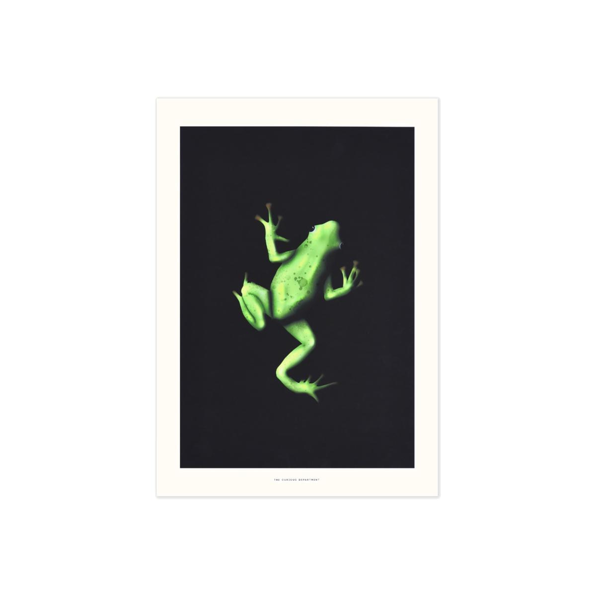 Black / Green Tiana's Frog: Art Print The Curious Department – image 1