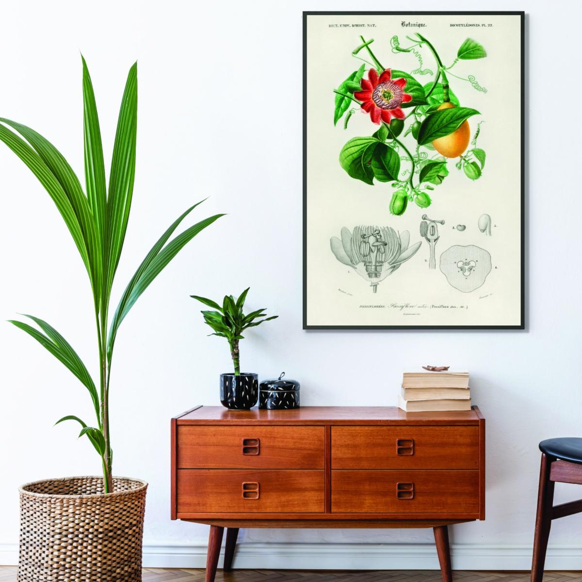 Green Passiflore Ailee A1 594 X 841Mm Stanley Print House – image 3