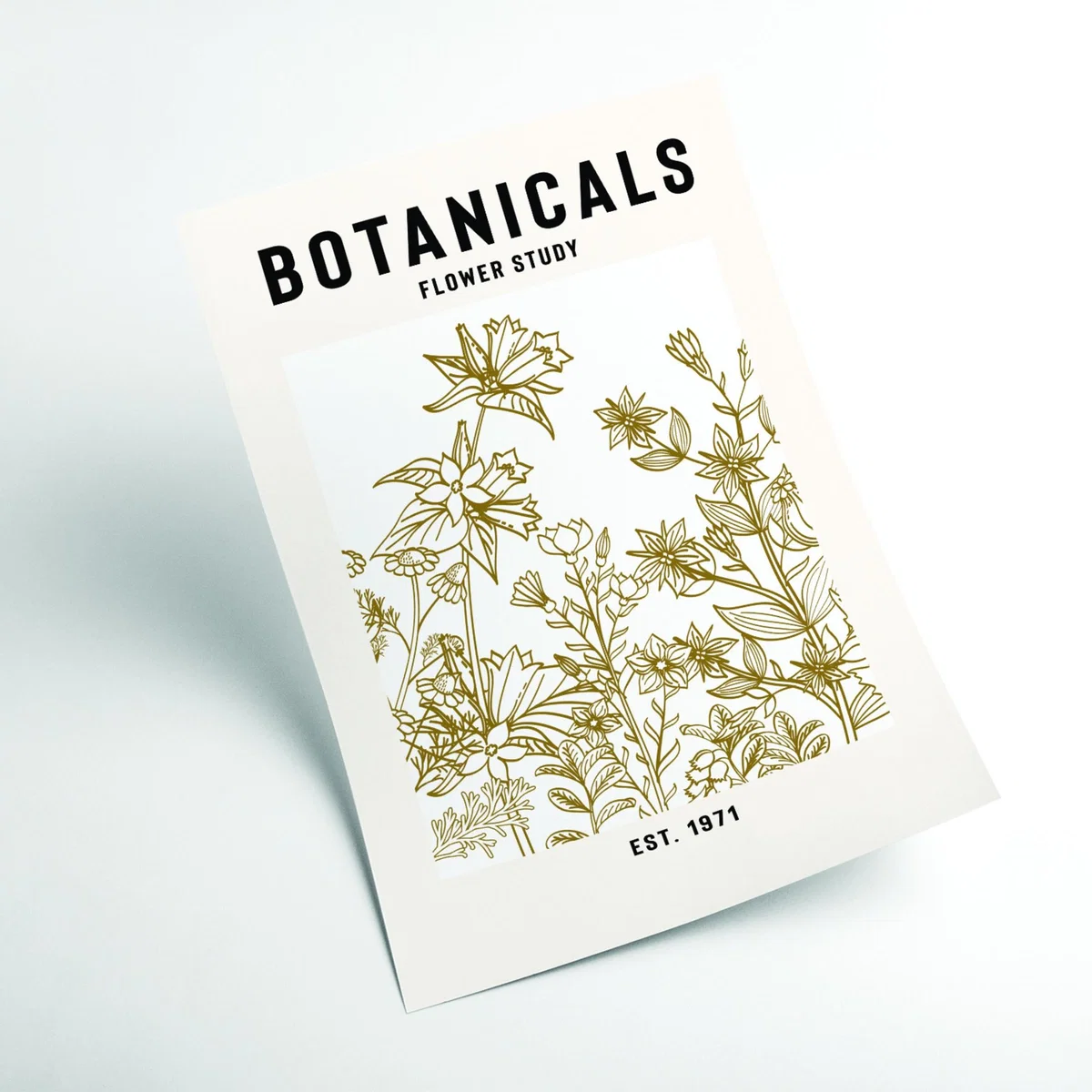 Brown Botanicals Flower Study Ii A2 420 X 594Mm Stanley Print House – image 2