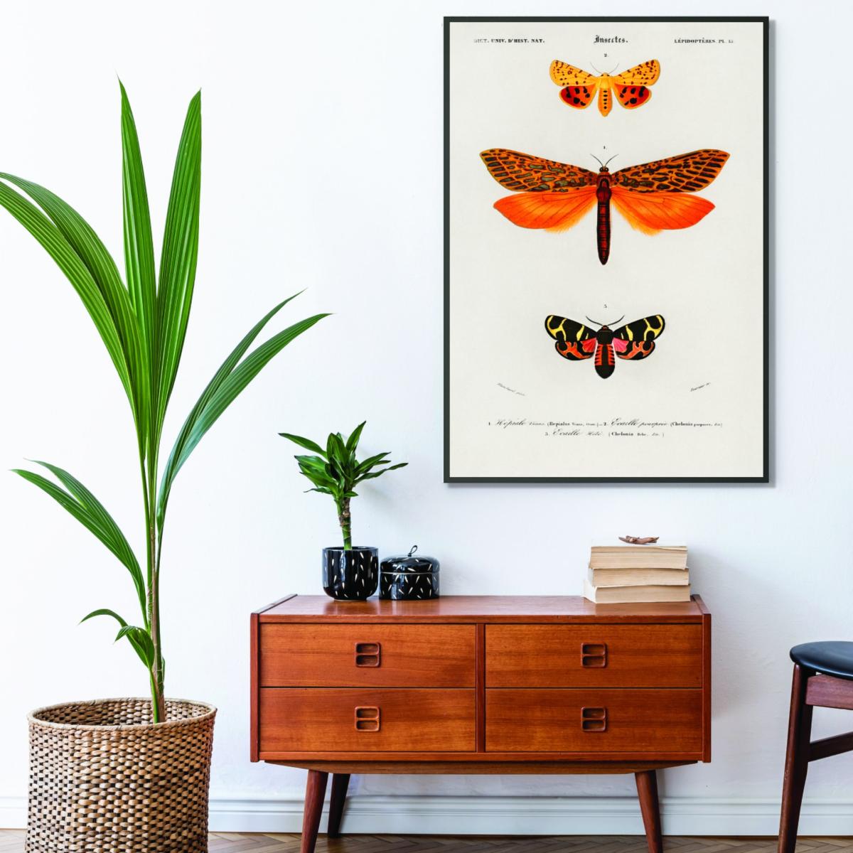 Yellow / Orange Natural History - Different Types Of Moths 1 Extra Small Stanley Print House – image 3