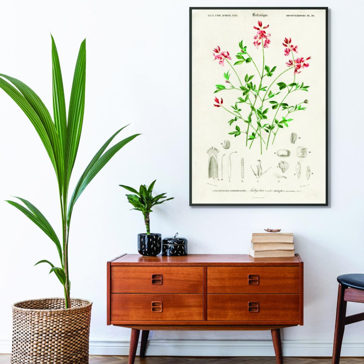Indigofera Procumbens Print Extra Large Stanley Print House – image 3