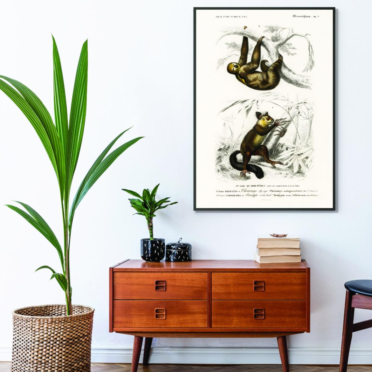Brown Three-Toed Sloth & Aye-Aye Extra Small Stanley Print House – image 3