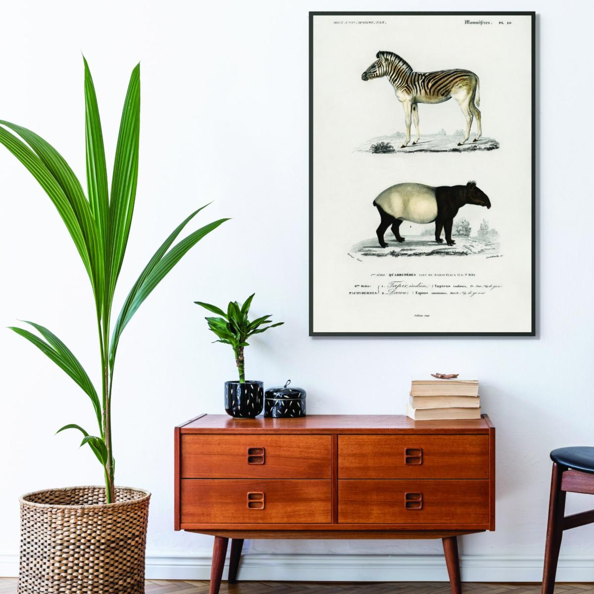 Malayan Tapir & Mountain Zebra A3 297 X 420Mm Stanley Print House – image 3