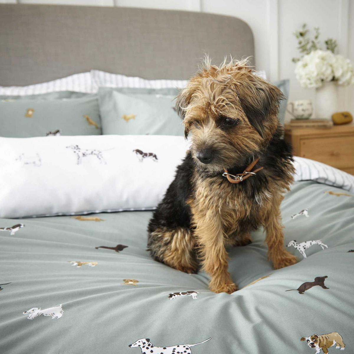 Fetch Dog Bedding and Pillowcase By Sophie Allport in Sage Green – image 2