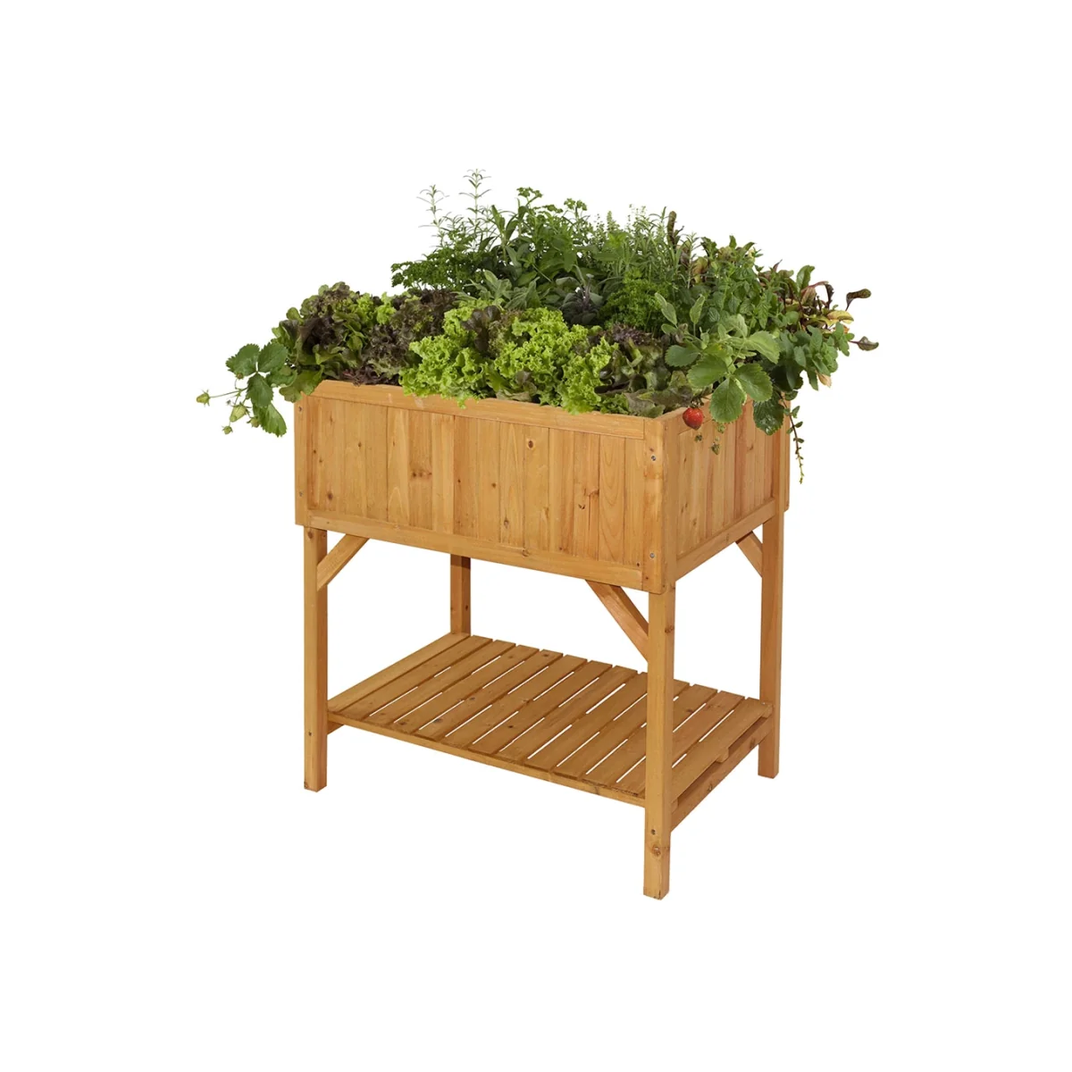 VegTrug Raised Bed Planter
