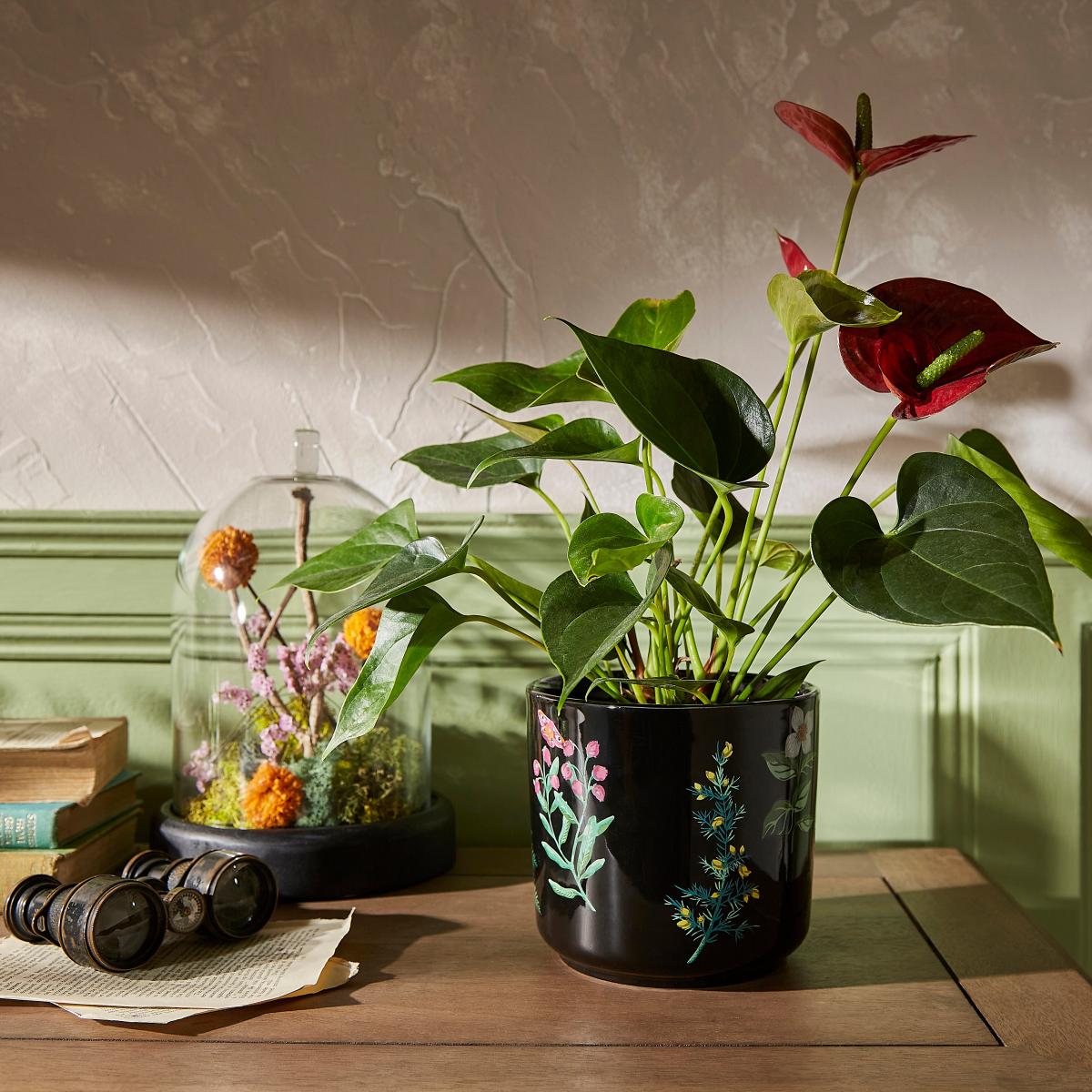 Large Black Moorland Plant Pot Black – image 1
