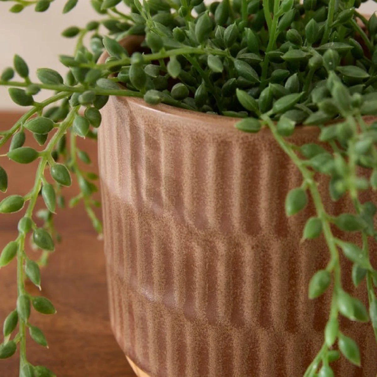 Embossed Pattern Brown Plant Pot – image 3