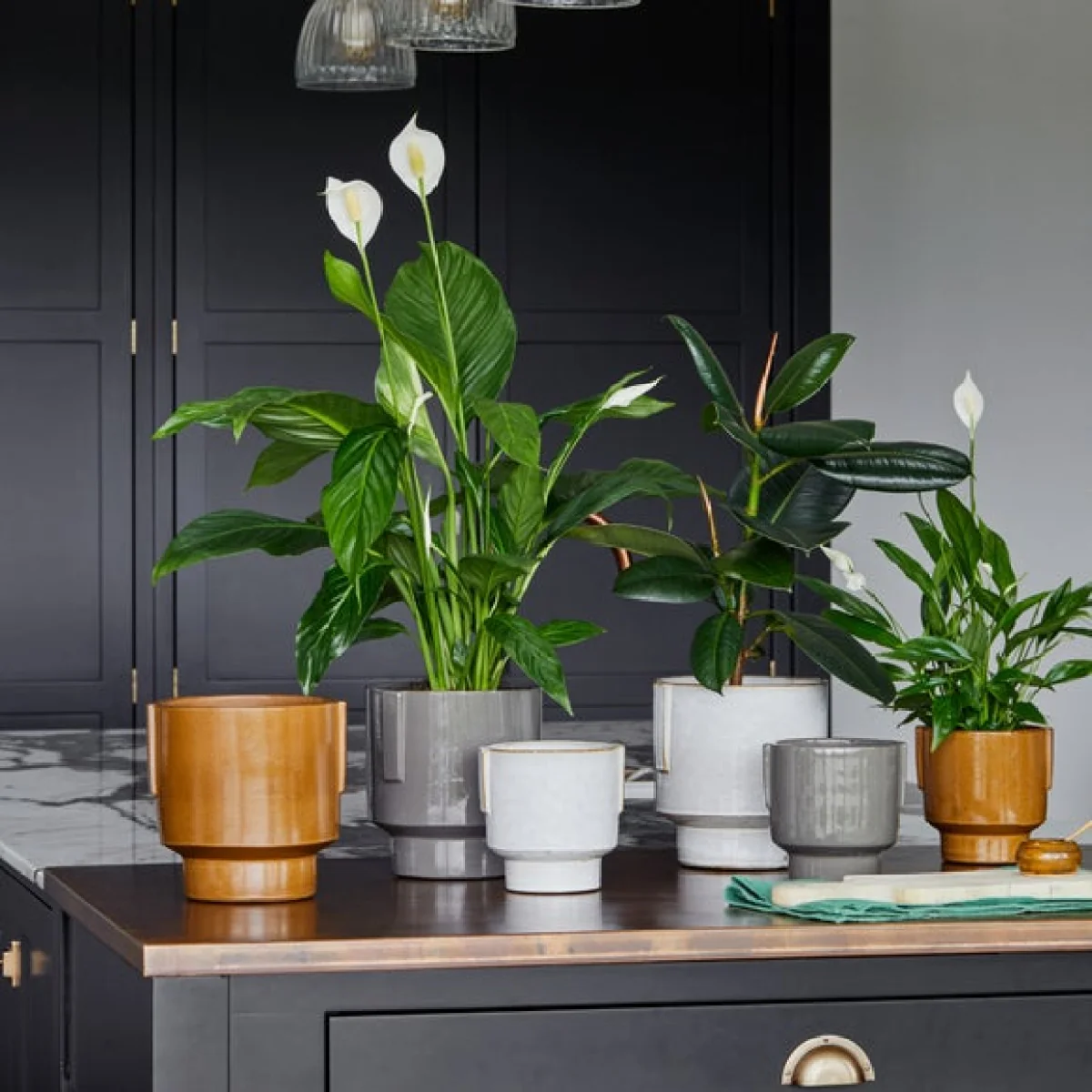 Aries Glazed Handles Planter Charcoal – image 4