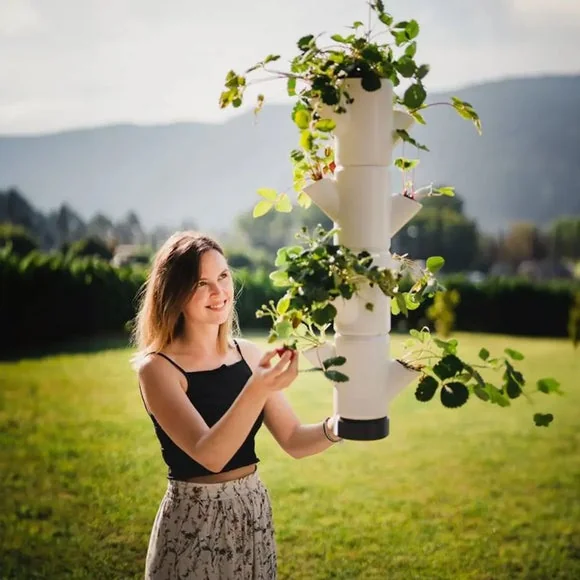Gusta Garden Sissi Strawberry Hanging 4 Level Strawberry Tree Planter – image 2