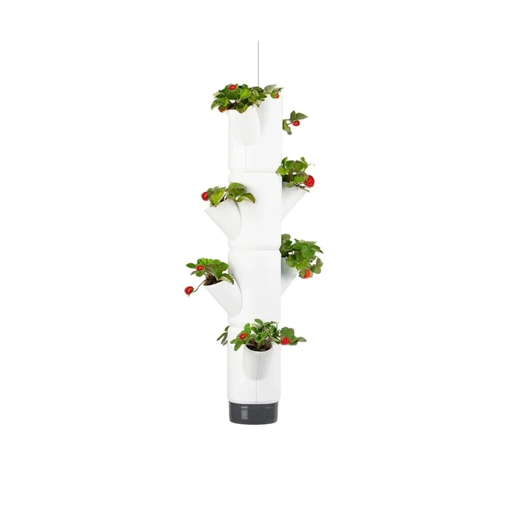 Gusta Garden Sissi Strawberry Hanging 4 Level Strawberry Tree Planter – image 1