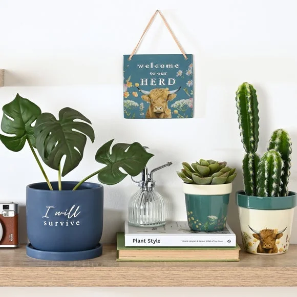 Country Living I Will Survive Ceramic Plant Pot – image 2